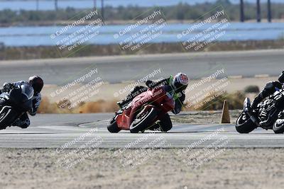 media/Nov-16-2025-Race Pace (Sun) [[8c5fa54630]]/Verified Riders/3-Turn 14 (1045am)/